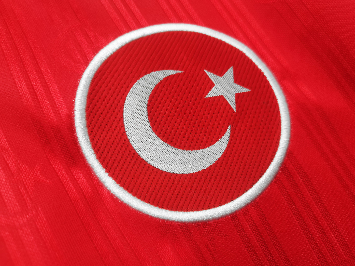 1996 TURK1Y3 H0ME