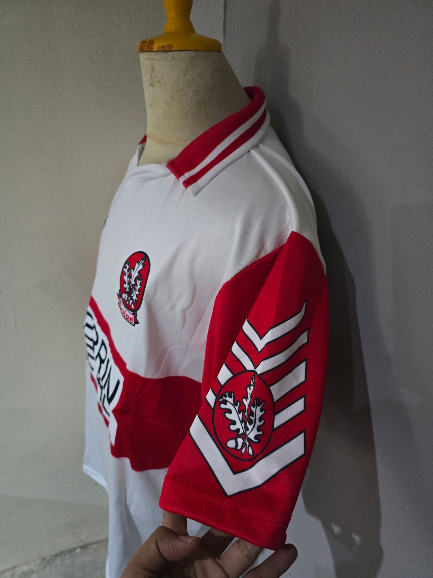 1993 Derry GAA Football Champions