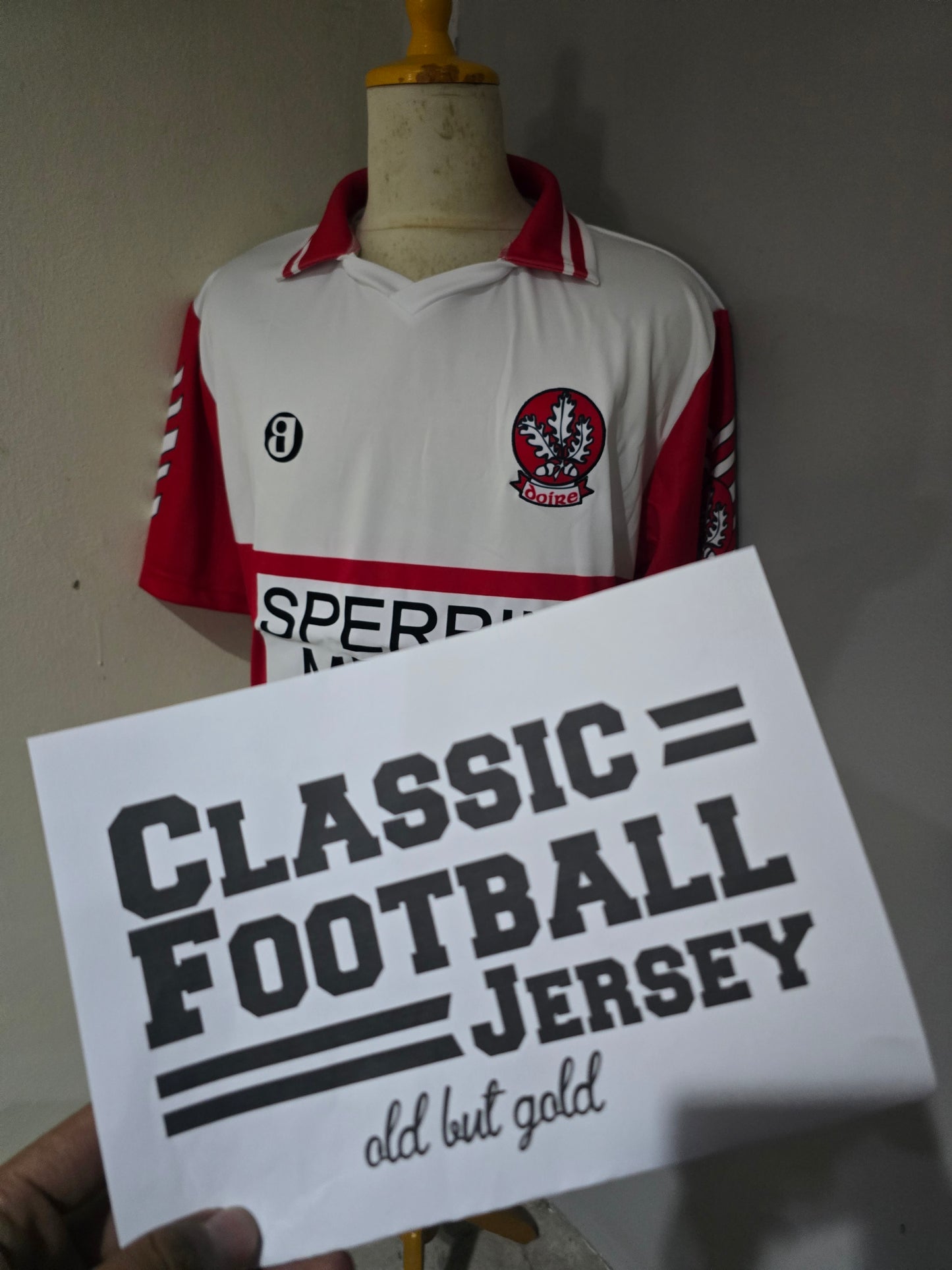 1993 Derry GAA Football Champions